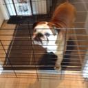 Keir Williams - @williams_keir - Twitter