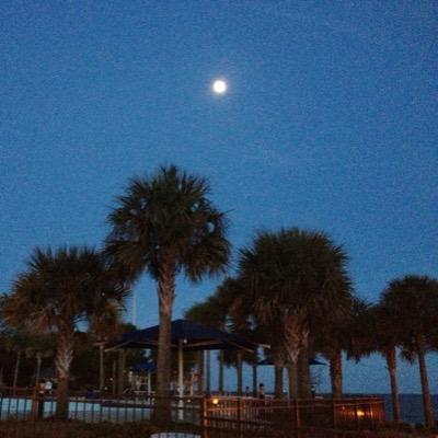 rjmsc803's profile picture. 