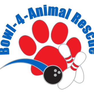 Bowl-4-Animal Rescue is an annual event that raises funds and awareness for homeless animals in need!