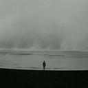 Elizabeth Forest  - @Elizabeth_foxes - Twitter