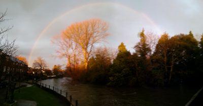 Amiresteki4's profile picture. 