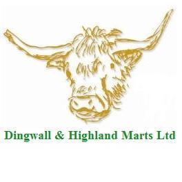 Dingwall_Mart's profile picture. 