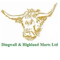 D.H.M(@Dingwall_Mart) 's Twitter Profileg