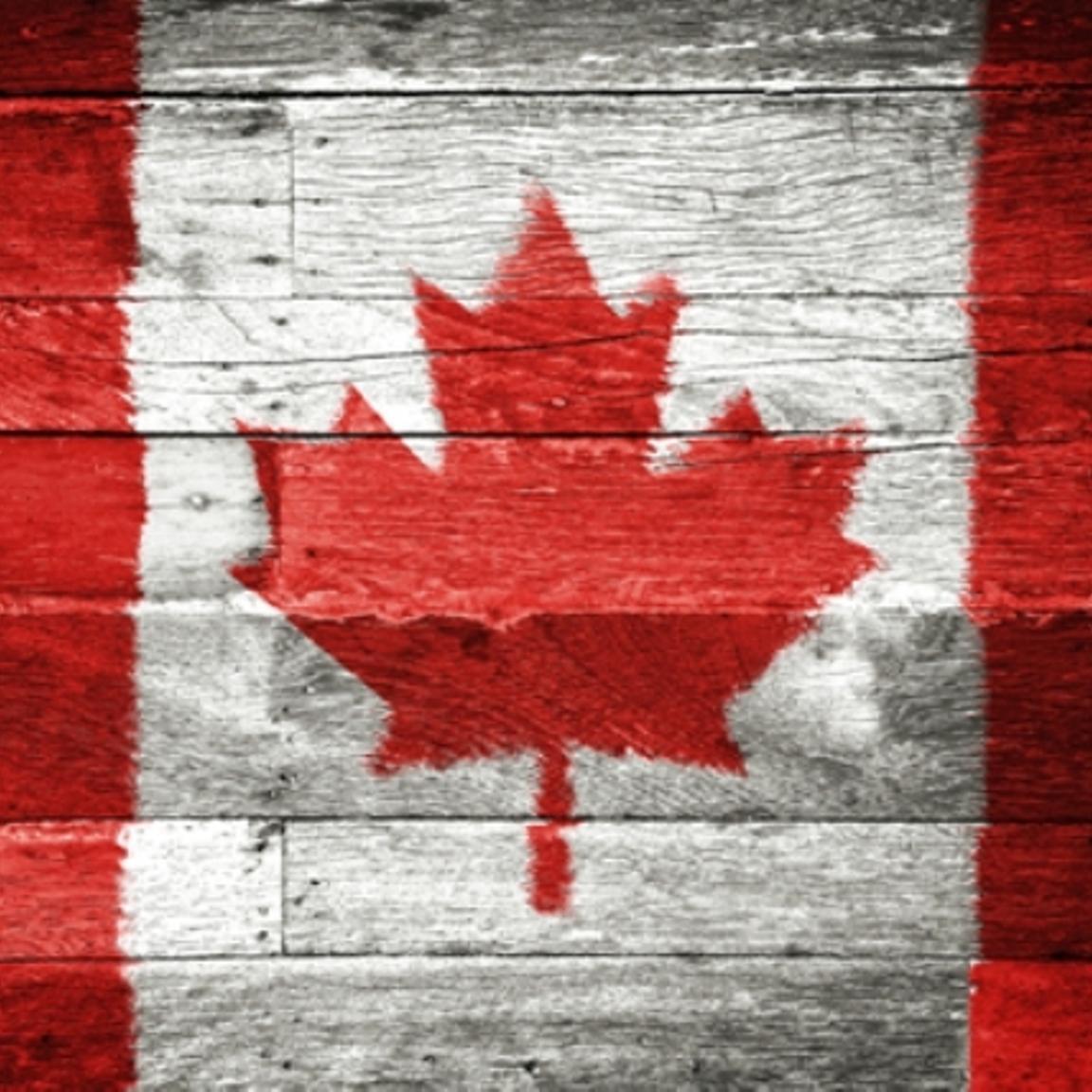 cc_canadian's profile picture. 