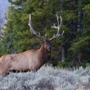 Roger Long - @RLong798 - Twitter