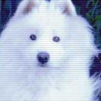 Hazuki@即興の人 (@haz_vox) Twitter profile photo