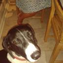 Sarah Venables - @svenabes - Twitter