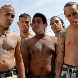 Hey Ese' I'm just looki' to smuggle some stash across the border man.