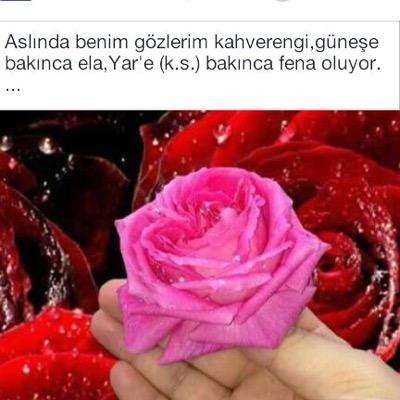 @HasemiErol: Sadece muhabbet içinse bile sofi olmak gerekir.çünki muhabbet'ten muhammed s.a.v yoluna Vasıl olunur.