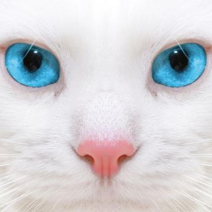 blamadre's profile picture. 