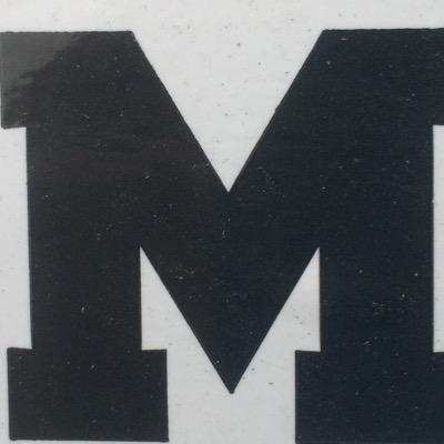 whitelotvig's profile picture. For years white lot has been a sacred place but is now being illegally taken over by the red and blue invaders