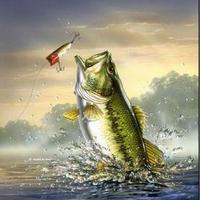 Outdoor Pursuits (@bigbassslam) 's Twitter Profile