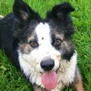 Mel Tyson - @Melonpatch3 - Twitter