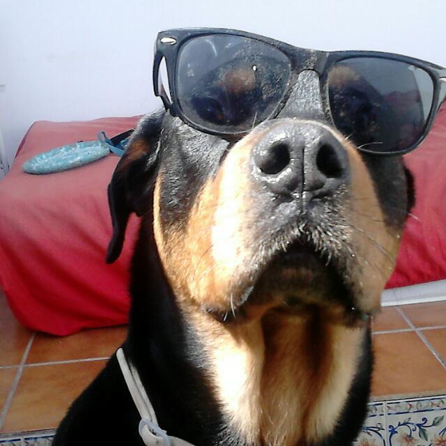 ariannaperna013's profile picture. 