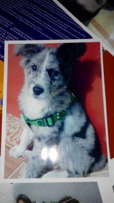 angelrios670's profile picture. 