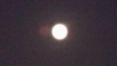 kimyoungwan1's profile picture. 