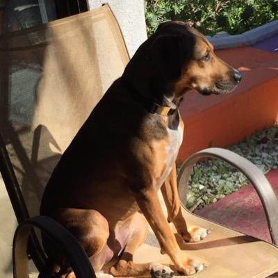 travis415's profile picture. 