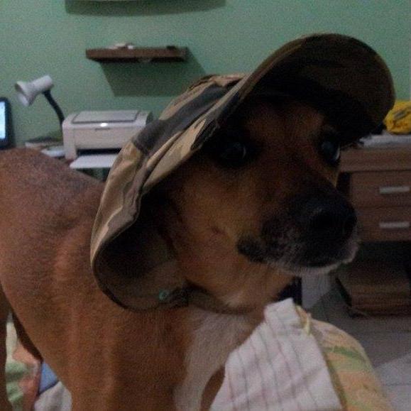 Johannmasturano's profile picture. 