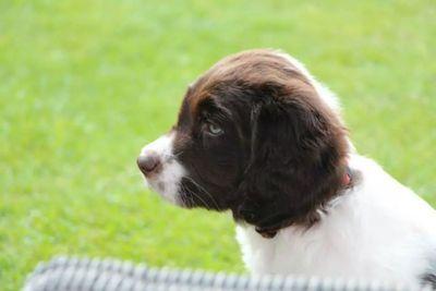 gokusuri's profile picture. 