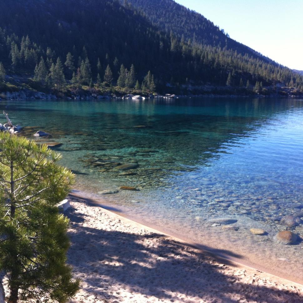 Resident of Lake Tahoe, skier and avid runner.