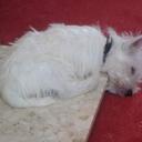 Owen Todd - @82b17581e29740c - Twitter