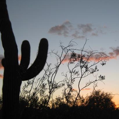 JumperBrewton's profile picture. Native Tucsonan, with 36 years experience as a Licensed Real Estate Agent and Investor, helping clients improve their asset portfolio & realize actual profits.