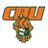 CbuMensSoccer's profile image