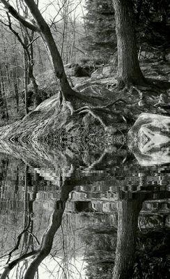 Chamr04's profile picture. 