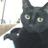 LawKat1's profile image