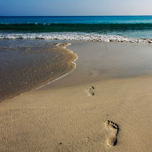 feetgenius's profile picture. 