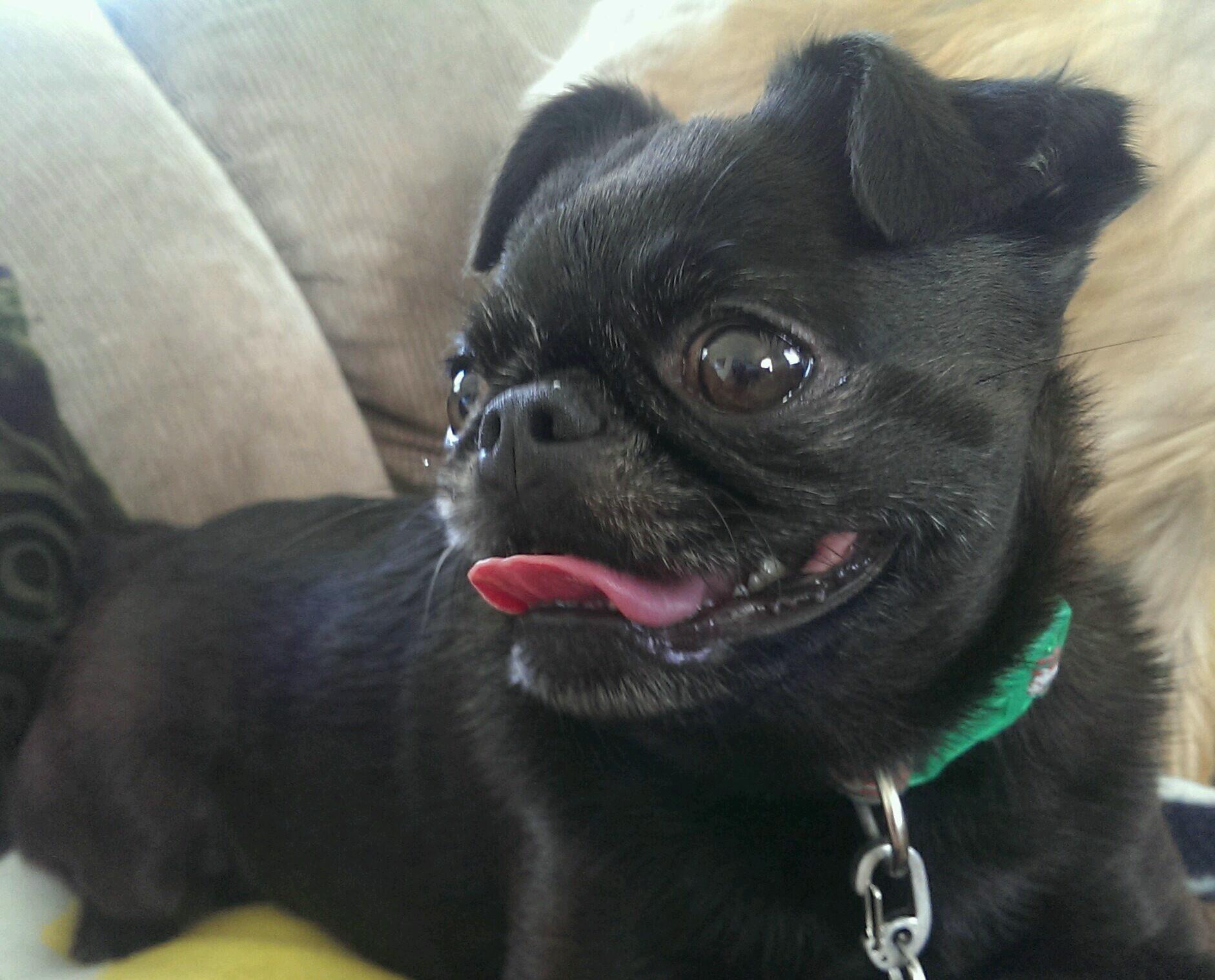 EKColeNZ's profile picture. 🤓