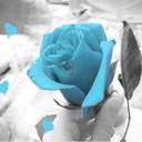 Connie Costa - @CCosta26 - Twitter