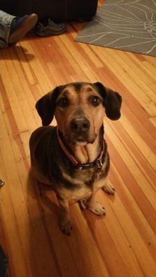 leonard_ware's profile picture. 