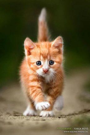 ivonnec2559's profile picture. nunca seas bueno(a) con gente que no valora lo que haces y que no lo sabe agradecer