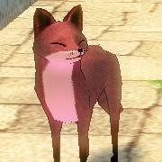 ツーリングとボドゲとネトゲと音ゲしながら生きてます。本を食べて生活できればいいのに・・・