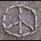 PineconeLin's profile picture. ~the music never stopped~