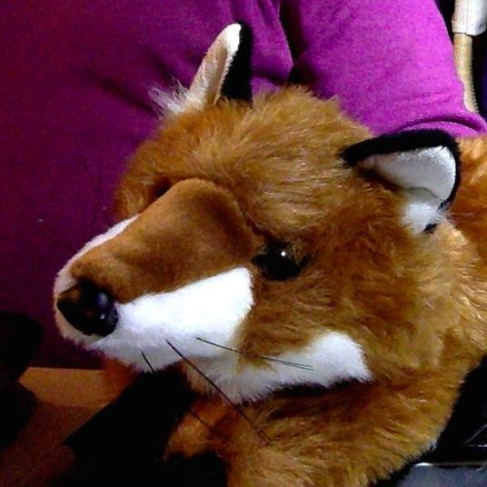 what the fox doesn't know about the city isn't worth knowing