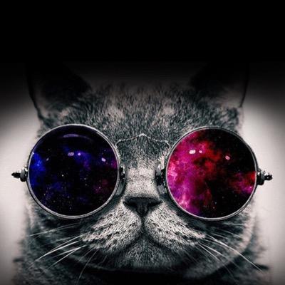 kimot3745ya's profile picture. よろ