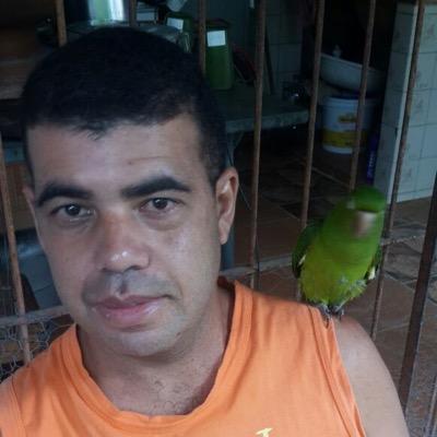 JmTiago17 Profile Picture