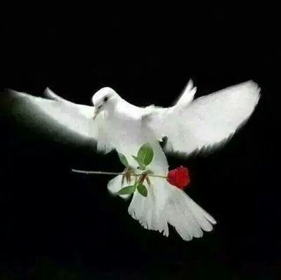 모든 이에게 축복을...