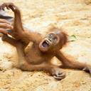 sam speer - @samspeer714 - Twitter