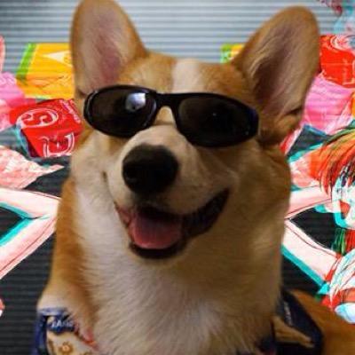 free follow from @furbycult !! stay funky fresh, babes