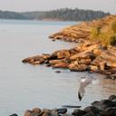 Lexus Gordon - @lexy7680 - Twitter