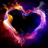 fla1poqui's profile picture. 