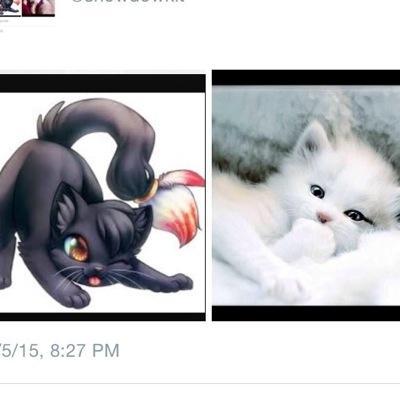 shadow:black she kit and mom is @katherine33413 brave and nice and mean snow:white she kit and mom is @HerbsSpirit shy nice and quite ~2moons old~