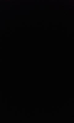 DynamicRobot's profile picture. 