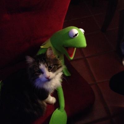 StevenPaulWhit2's profile picture. 