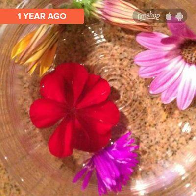 Mama_Saltz's profile picture. Mom, wife. Liberal. Support LGBT rights,  Make America Kind again.