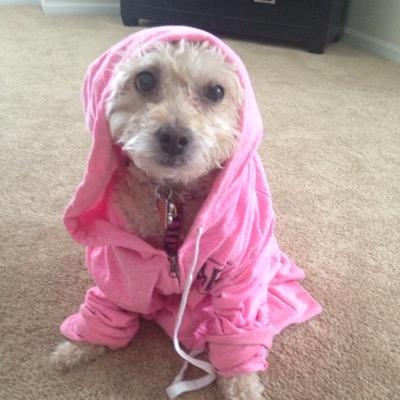 stay cool and i love shawn mendes and r5