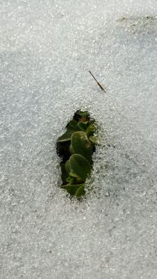 a74705595's profile picture. 